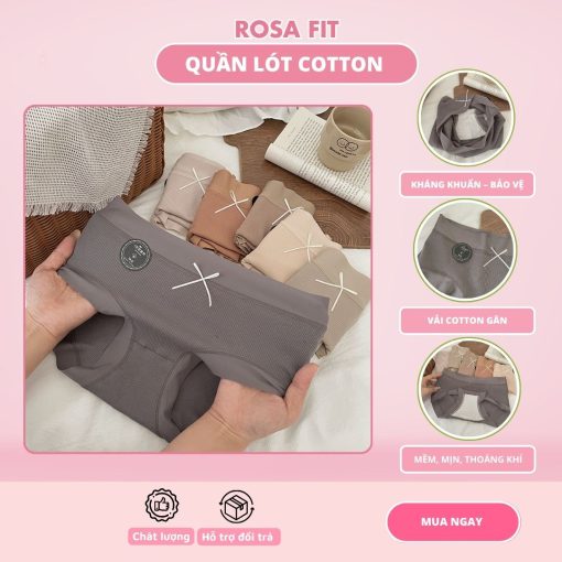 Quần Lót Cotton Tăm
